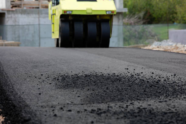 Best Local Driveway Pavers  in Lolo, MT