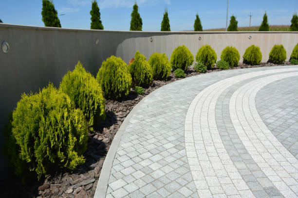 Best Driveway Pavers Near Me  in Lolo, MT