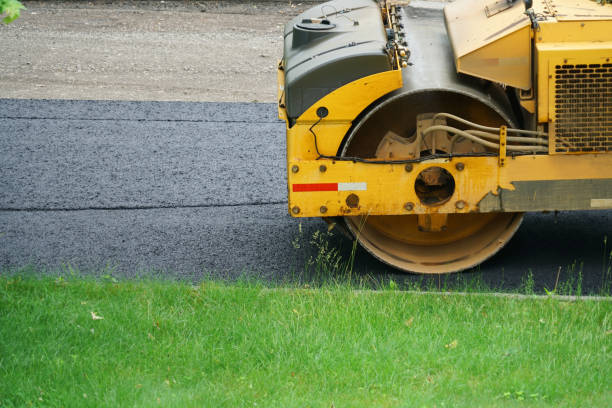 Best Decorative Driveway Pavers  in Lolo, MT