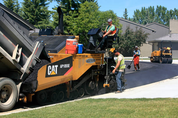 Best Driveway Pavers Cost  in Lolo, MT